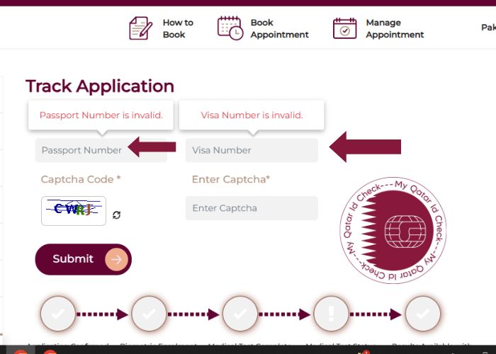 write your Passport number and Visa number